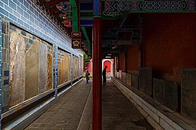 复仇者完美化身 《羊蹄山之魂》开发者详解选择女性主角的深层考量