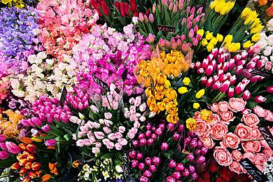 《上古卷轴5：天际》打上千Mod 光追演示视频